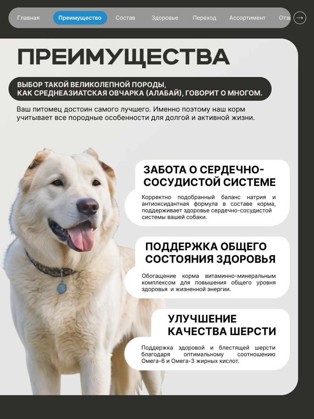 Корм сухой для взрослых собак породы Среднеазиатская овчарка (Алабай), премиум полнорационный комплекс, с лососем, 12 кг, QUATTRO