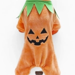 Комбинезон «Тыква»