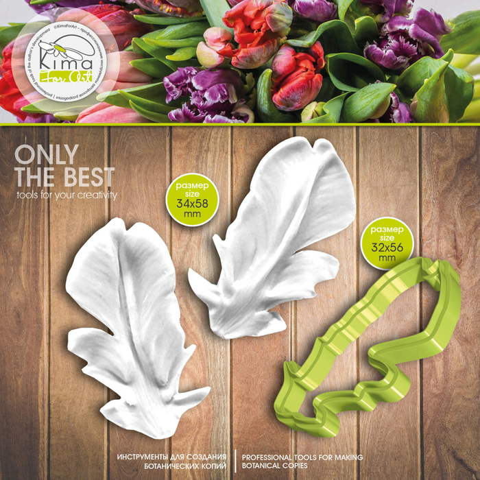 Тюльпан Рококо