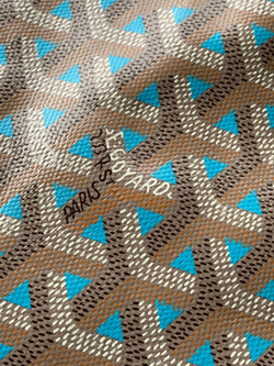 Goyard Poitiers Claire Voie Bag