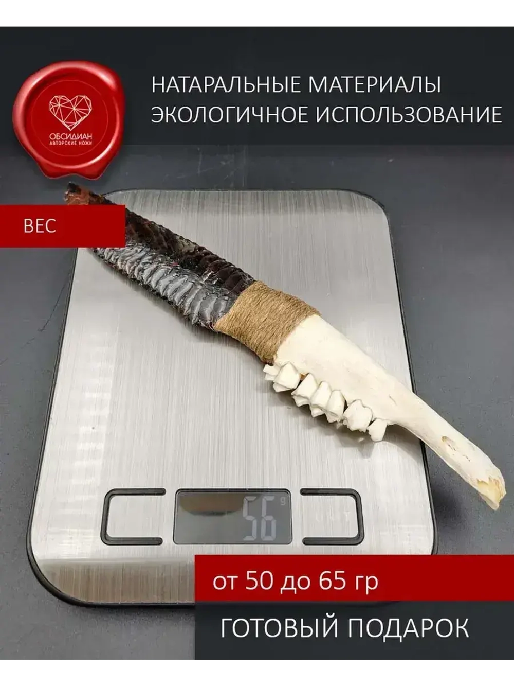 Обсидиановый клинок с челюстью барашка от 21 см