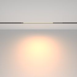 Трековый магнитный светодиодный светильник Maytoni Exility   TR231-2-10W3K-B