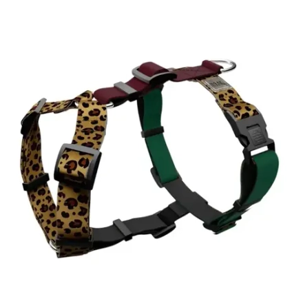 Шлейка Лео Колор Блок