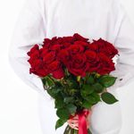 25 Роза красная Эквадор 60см.