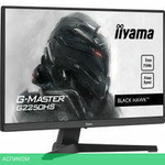 Игровой монитор Iiyama G-Master Black Hawk G2250HS-B1