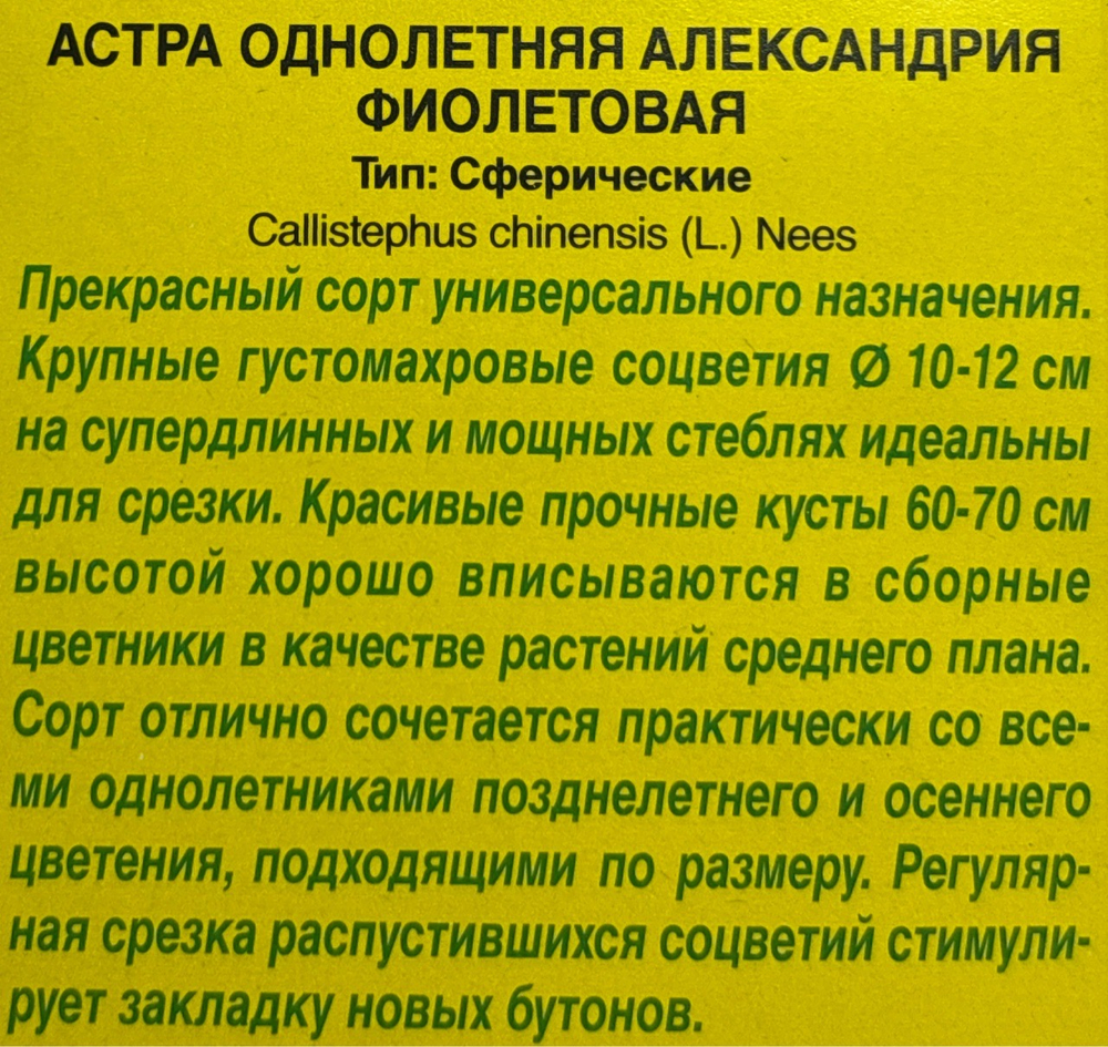 Астра Александрия фиолетовая 0,1 г СМЦ-417