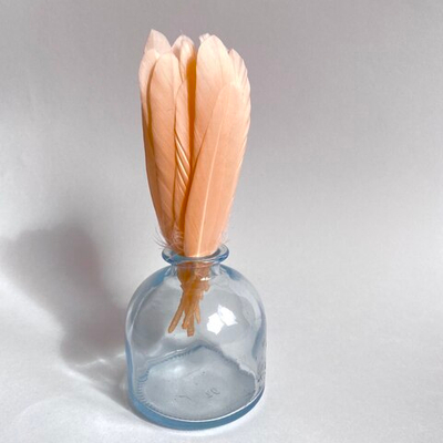 Перья утки персик-мутант 15 шт.