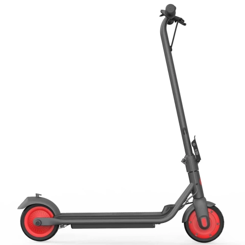 Электросамокат Ninebot KickScooter C20