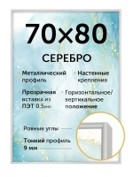 Металлическая фоторамка 70х80 см