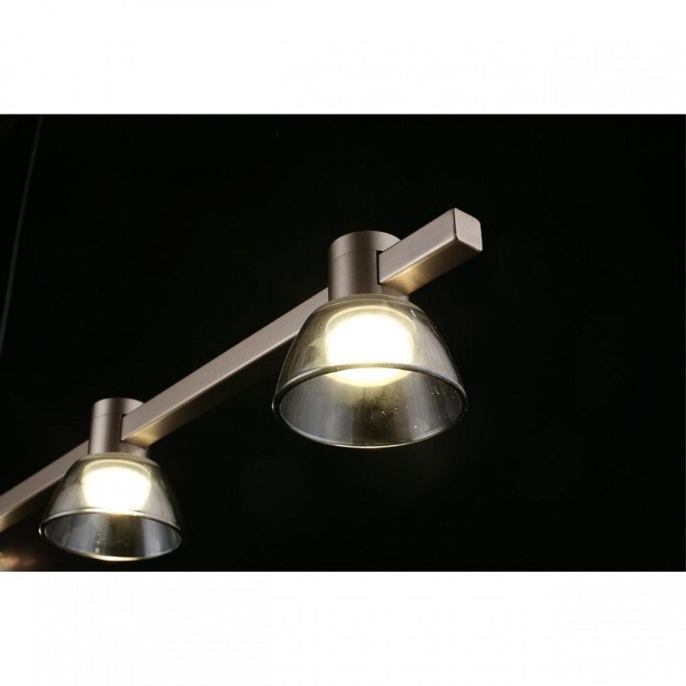 Подвесной светильник Aployt Rezeda APL.788.03.06