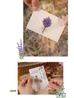 Наклейки флора на прозрачном фоне Эвкалипт