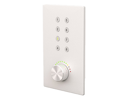 CVGAUDIO P-ZONER-W/IP/B настенная программируемая панель управления