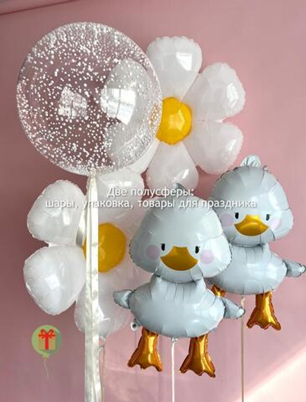 Набор шаров Уточки