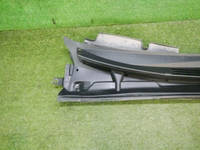 DSCN8787.jpg