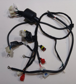 Проводка Питбайк Regulmoto SEVEN MEDALIST