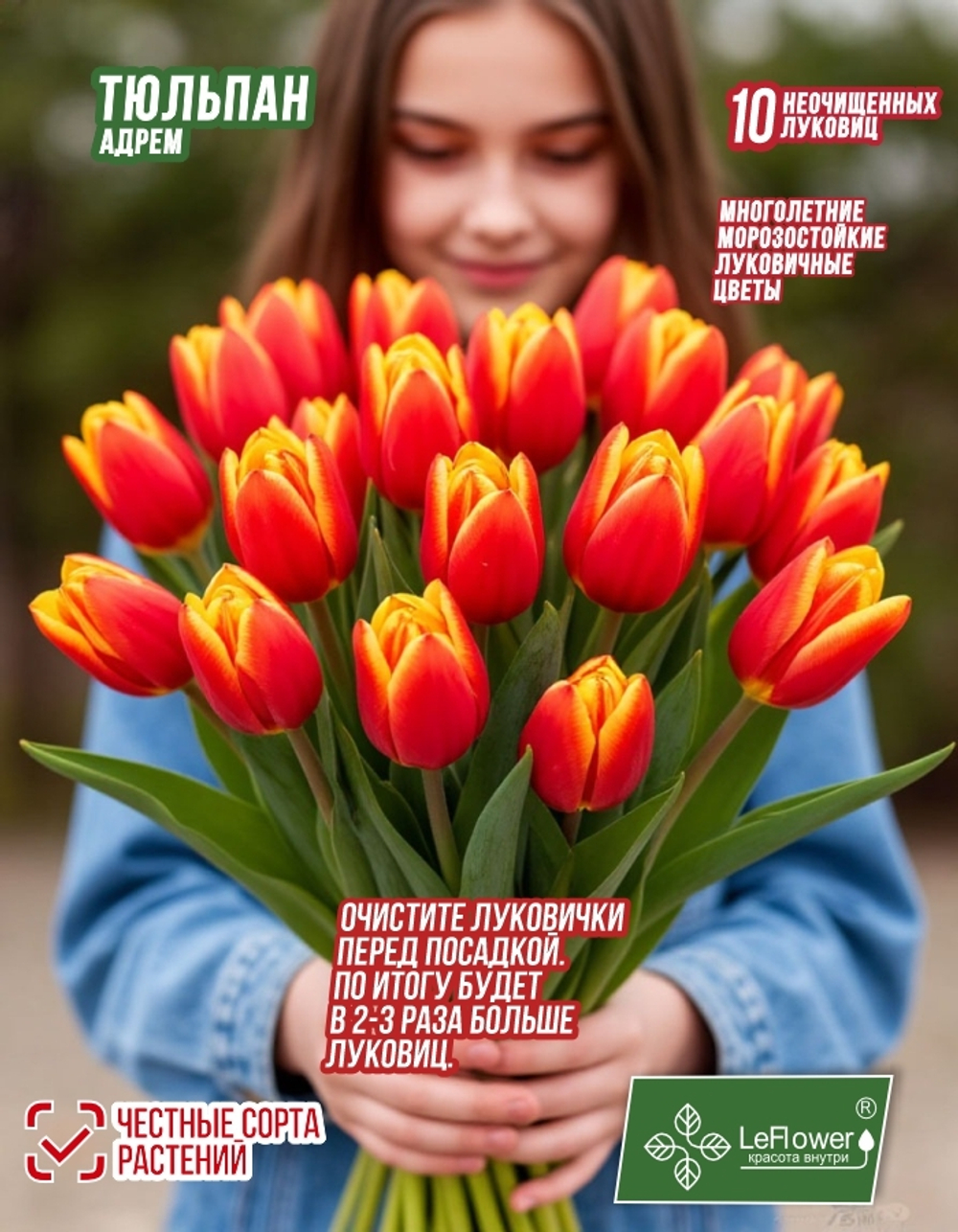 тюльпан Адрэм 10луковиц,Голландия