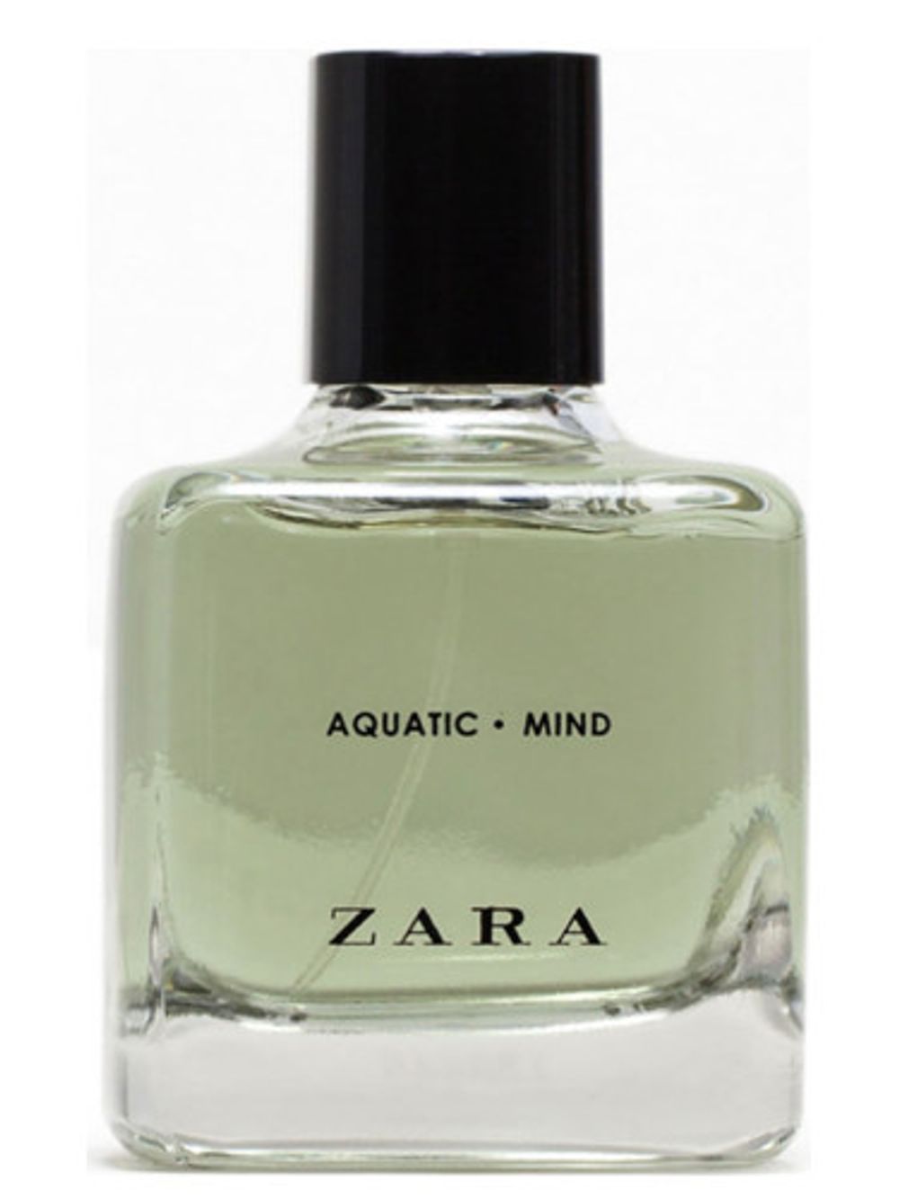 Zara Aquatic Mind