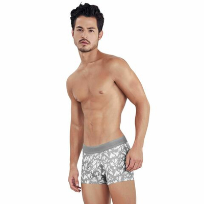 Серые мужские трусы-хипсы с растительным принтом Grace Trunks (Размер: L) (Цвет: серый)