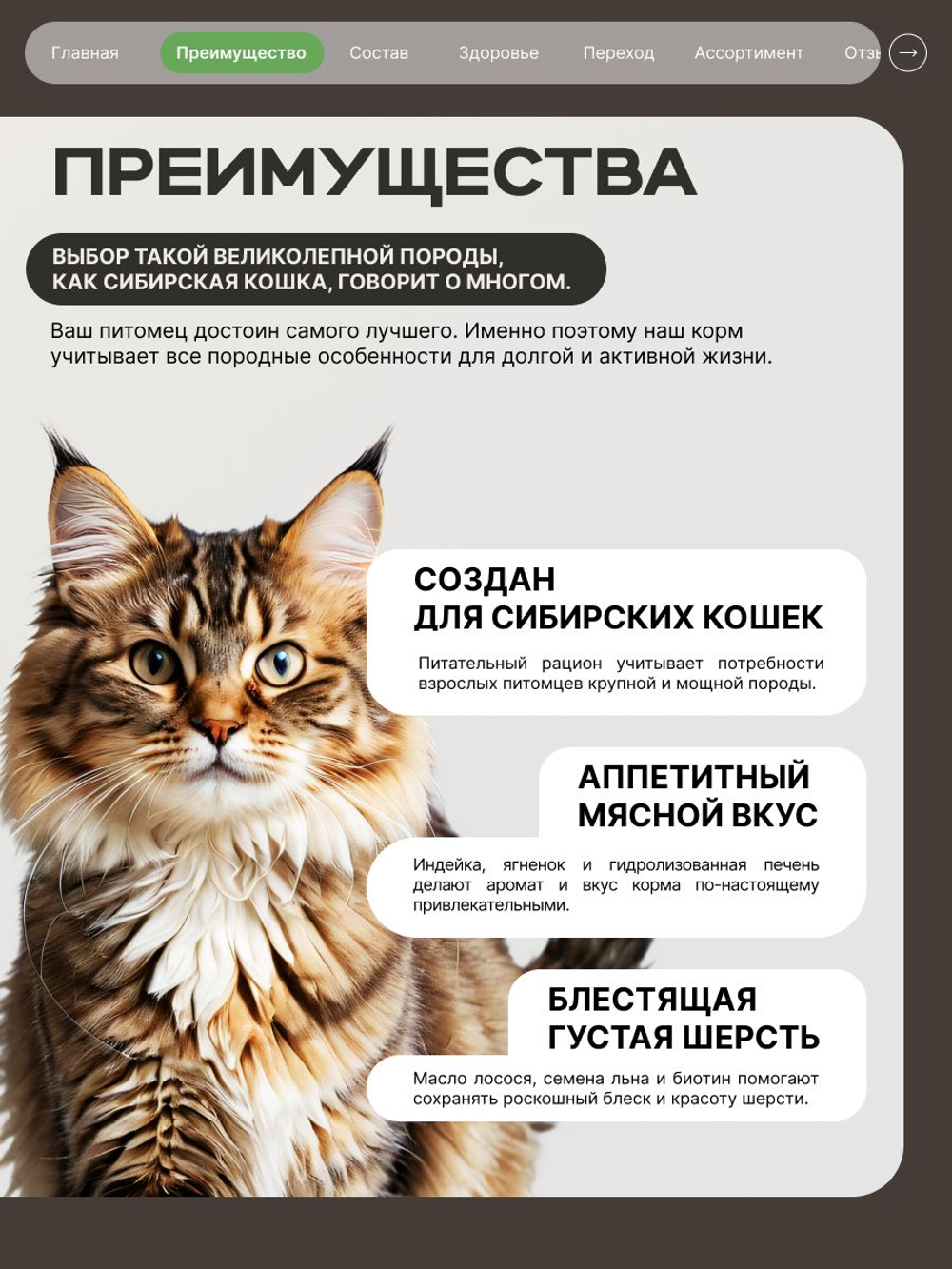 Корм сухой для кошек породы Сибирская кошка, с ягненком, 5 кг, QUATTRO