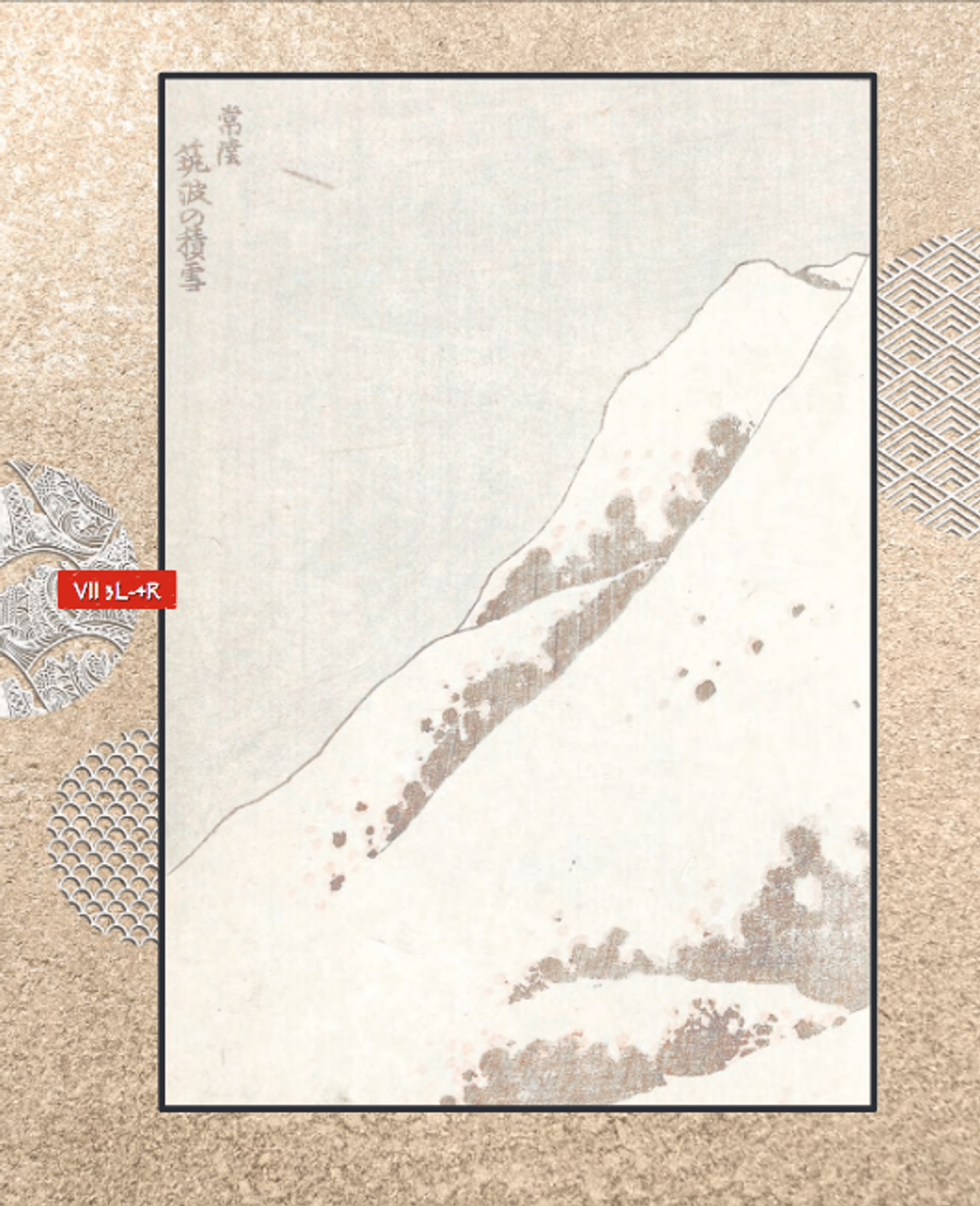 Манга Хокусая. Природа