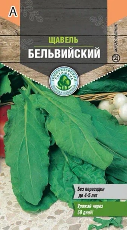 ЩАВЕЛЬ