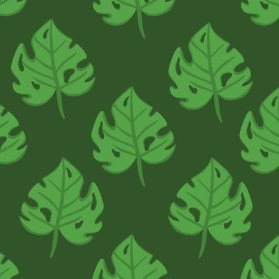 Монстера зелёный фон