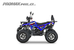 Квадроцикл PROMAX WILD 2.0 190 PRO (2025)