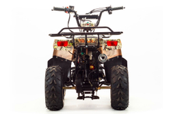 Квадроцикл MOTOLAND 110 Rider (2021 Г.)