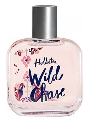 Hollister Wild Chase