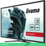 Игровой монитор Iiyama G-Master Red Eagle G4380UHSU-B1