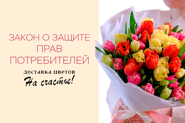 Закон о защите прав потребителей Закон о защите прав потребителей