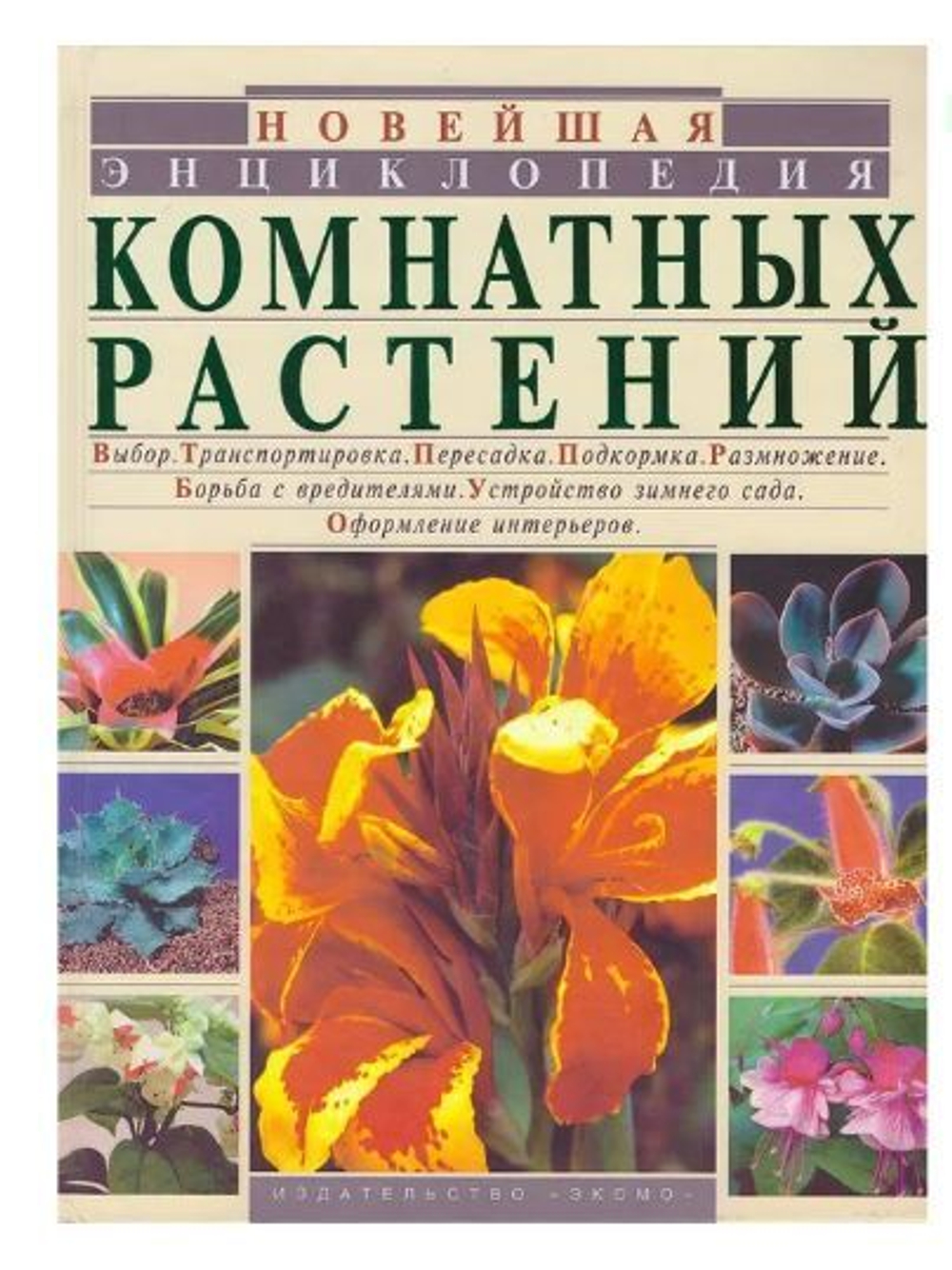 Новейшая энциклопедия комнатных растений