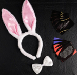 Эротический набор Во власти страсти. Девушка-плейбой (Цвет: разноцветный)