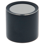 Se Electronics sE8 cardioid capsule (P)