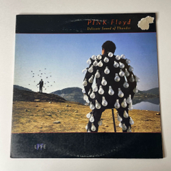 Винтажная виниловая пластинка LP Pink Floyd Delicate Sound Of Thunder (USA 1988)