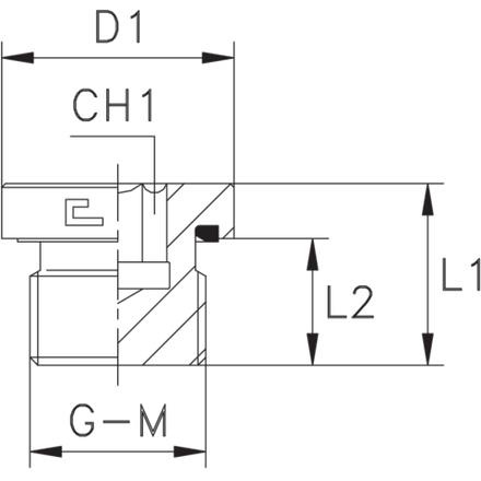 Заглушка VE М26x1.5 CAST