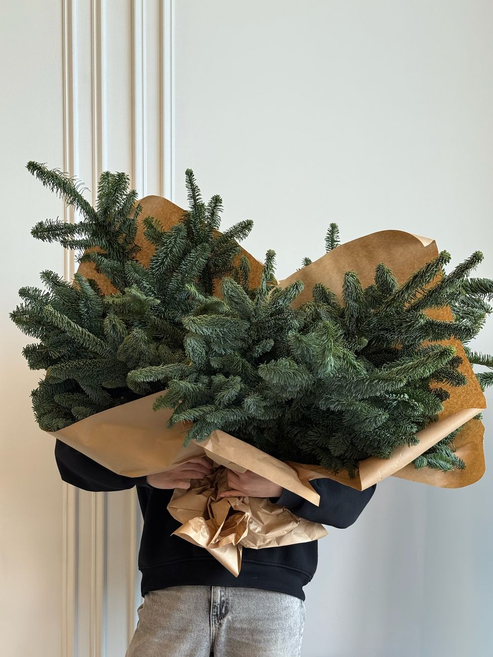 Хвоя - охапка нобилиса