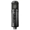 Antelope Audio Axino Synergy Core
