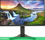 Монитор AOPEN 24CL2YEbmirx