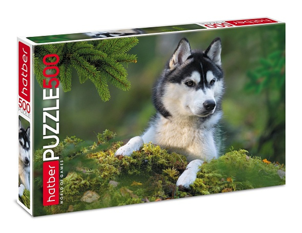 Пазл Hatber "Любимец", 500 деталей , 500П32_19292, картонная основа, от 12 лет