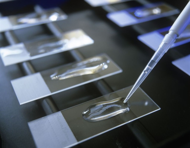 Superfrost или стандарт: как выбрать предметное стекло для сложных протоколов?