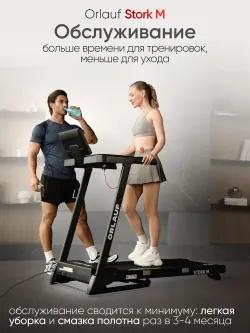 Беговая дорожка Orlauf Stork M