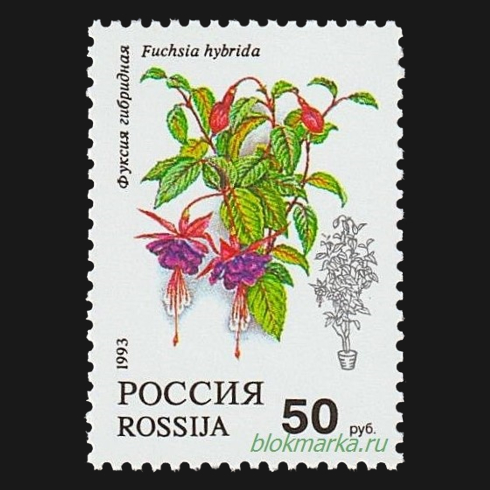 Россия 1993 г № 77-81 Серия Флора Комнатные растения Чистая MNH **