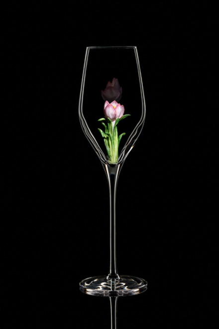 Бокал для шампанского Флюте. Крокус розовый.