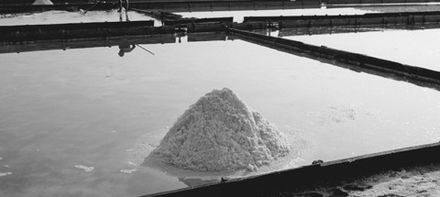 Соль морская мелкая йодированная 1 кг (Словения)