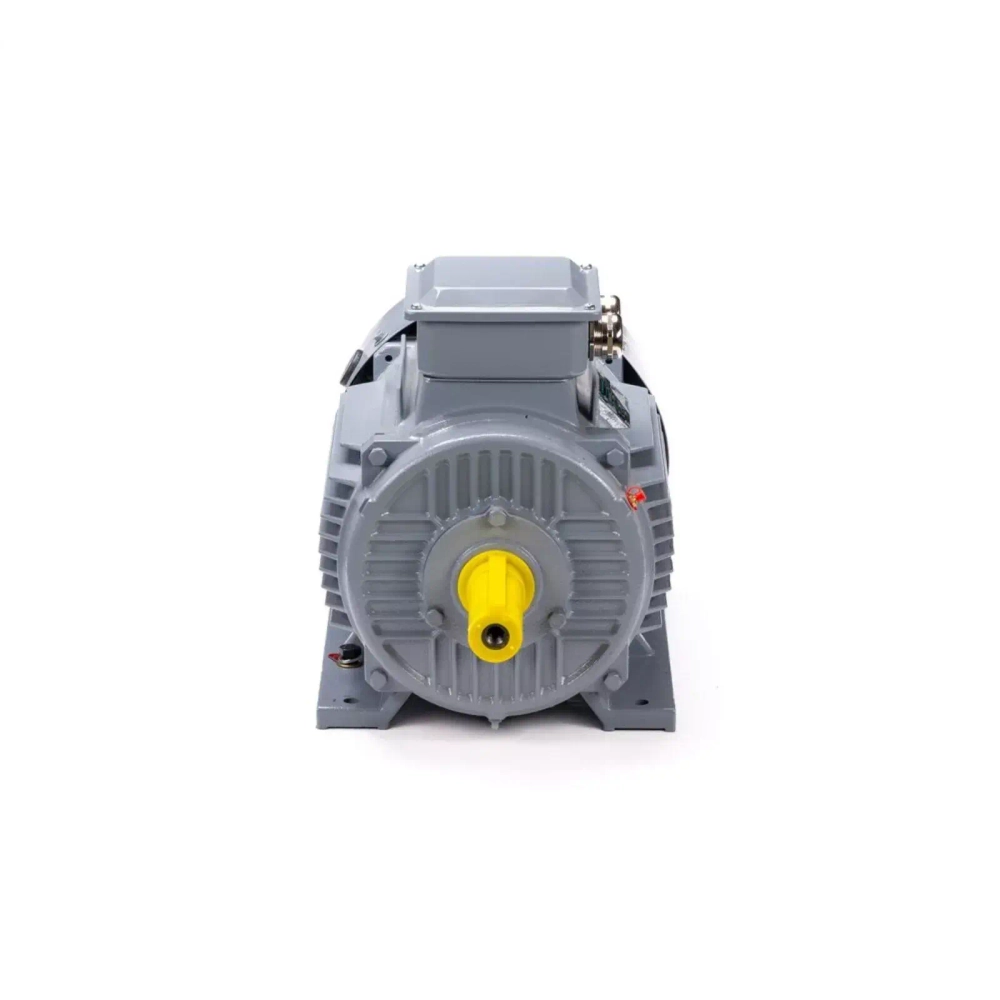 Электродвигатель ESQ PR 160 S4 GST-Б1-S12-IE2 15/1500 IM2001