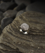кольцо большая печатка ракушка