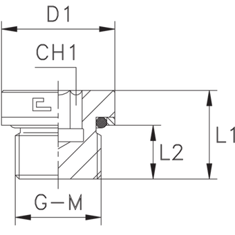 Заглушка V (Ш) BSP 1/8 o-ring