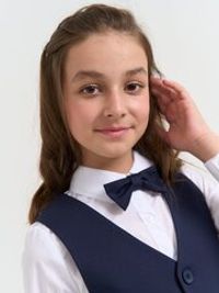 Галстук-бабочка "Синий"
