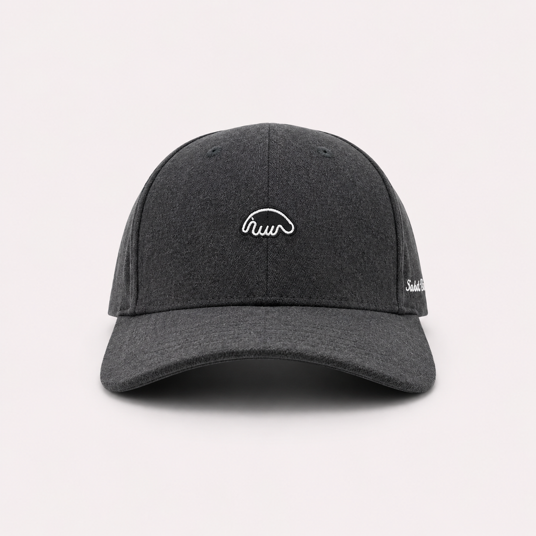 Кепка Anteater Baseball (grey)